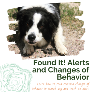 Found It! Alerts and Changes of Behavior (1 hour pre-recorded webinar)