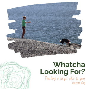 Whatcha Looking For? Teaching Your Dog a Target Odor (1 hour pre-recorded webinar)